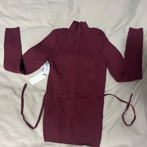 Aritzia Sweater- Burgandy!